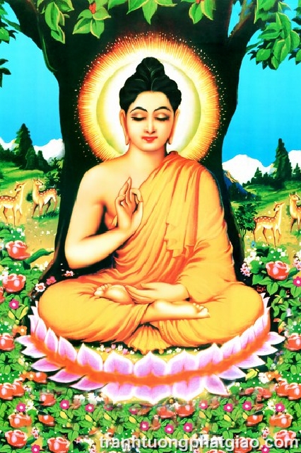 Bổn Sư Thích Ca Mâu Ni Phật (138)